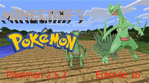 pixelmon sceptile|treecko pixelmon spawn.